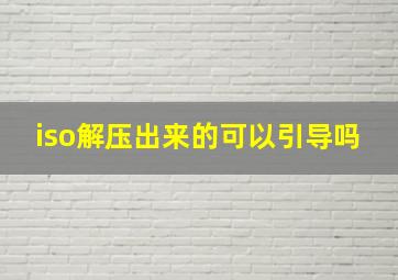 iso解压出来的可以引导吗