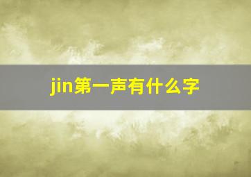 jin第一声有什么字