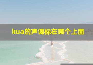 kua的声调标在哪个上面