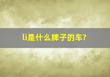 li是什么牌子的车?