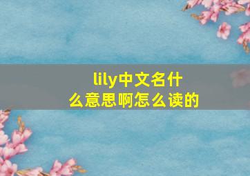 lily中文名什么意思啊怎么读的