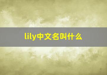 lily中文名叫什么