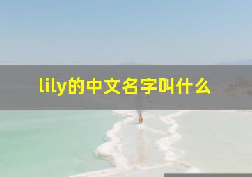 lily的中文名字叫什么