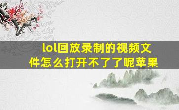 lol回放录制的视频文件怎么打开不了了呢苹果