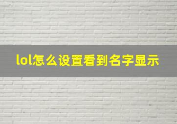 lol怎么设置看到名字显示