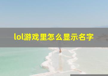 lol游戏里怎么显示名字