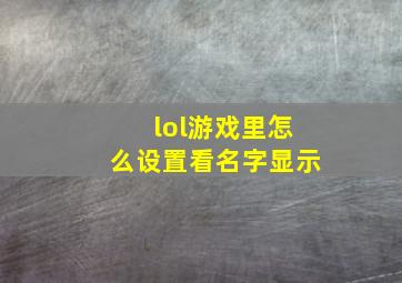 lol游戏里怎么设置看名字显示