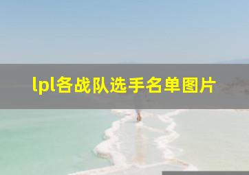 lpl各战队选手名单图片