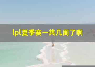 lpl夏季赛一共几周了啊