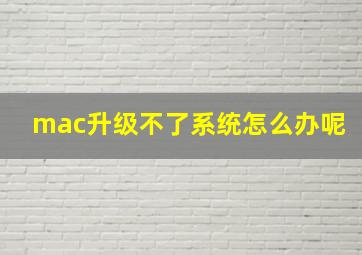 mac升级不了系统怎么办呢