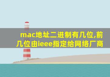 mac地址二进制有几位,前几位由ieee指定给网络厂商