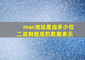 mac地址是由多少位二进制组成的数据表示