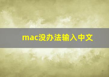 mac没办法输入中文