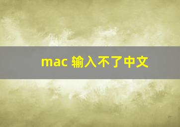 mac 输入不了中文