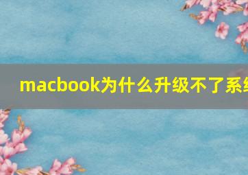 macbook为什么升级不了系统