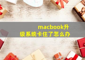 macbook升级系统卡住了怎么办