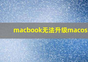 macbook无法升级macos11.0