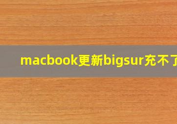 macbook更新bigsur充不了电