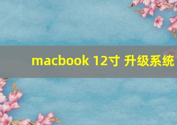 macbook 12寸 升级系统