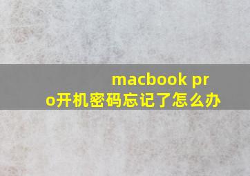 macbook pro开机密码忘记了怎么办