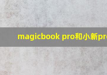 magicbook pro和小新pro13