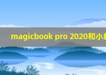 magicbook pro 2020和小新air14