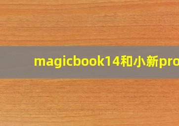 magicbook14和小新pro13