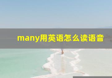 many用英语怎么读语音