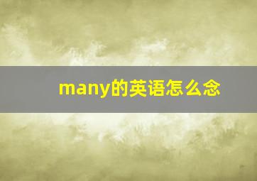 many的英语怎么念