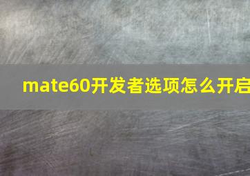 mate60开发者选项怎么开启