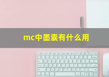 mc中墨囊有什么用