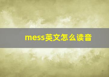 mess英文怎么读音