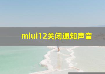 miui12关闭通知声音