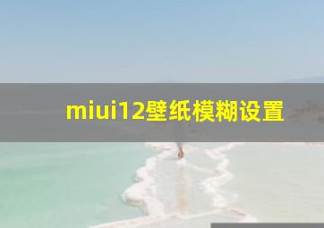 miui12壁纸模糊设置