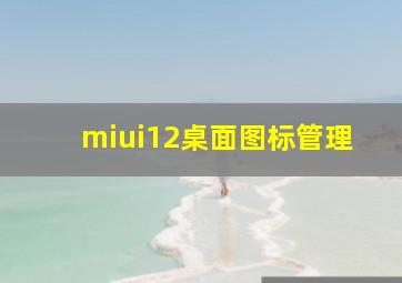 miui12桌面图标管理