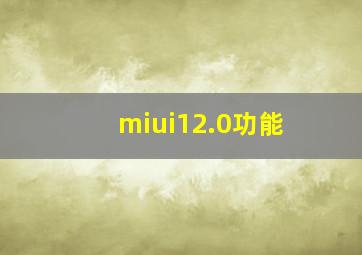 miui12.0功能