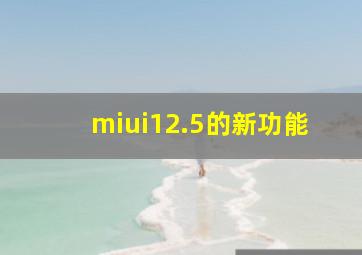 miui12.5的新功能