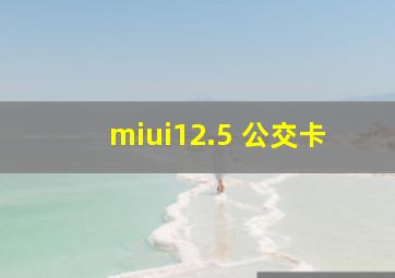 miui12.5 公交卡