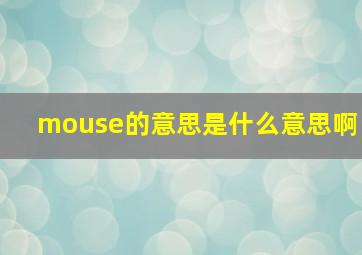 mouse的意思是什么意思啊