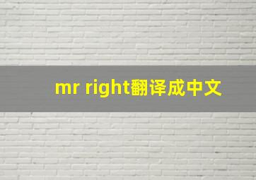 mr right翻译成中文