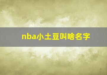 nba小土豆叫啥名字