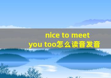 nice to meet you too怎么读音发音