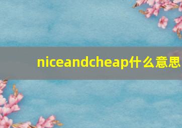 niceandcheap什么意思