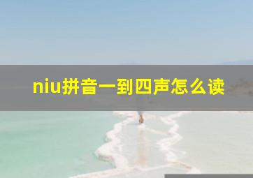 niu拼音一到四声怎么读