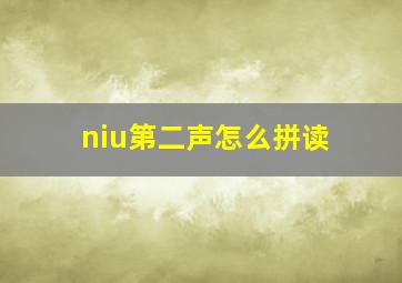 niu第二声怎么拼读