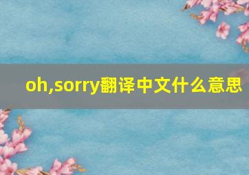 oh,sorry翻译中文什么意思