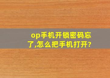 op手机开锁密码忘了,怎么把手机打开?