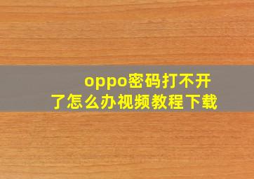 oppo密码打不开了怎么办视频教程下载