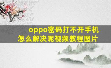 oppo密码打不开手机怎么解决呢视频教程图片