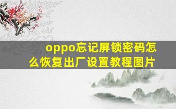 oppo忘记屏锁密码怎么恢复出厂设置教程图片